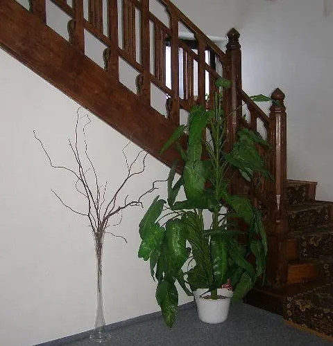 Pensionat Akron 3*